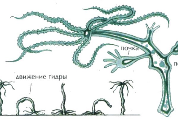 Кракен маркетплейс нарко