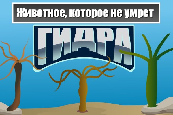 Кракен вход ссылка
