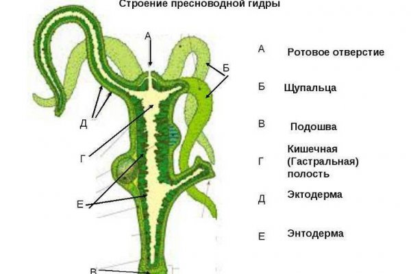 Kraken сайт зеркала