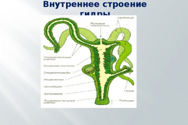 Как зайти в кракен