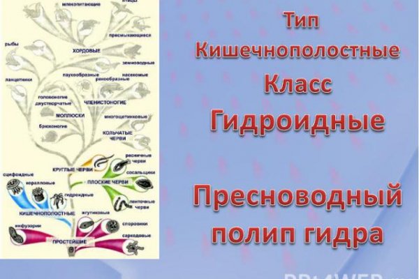 Площадки в даркнете