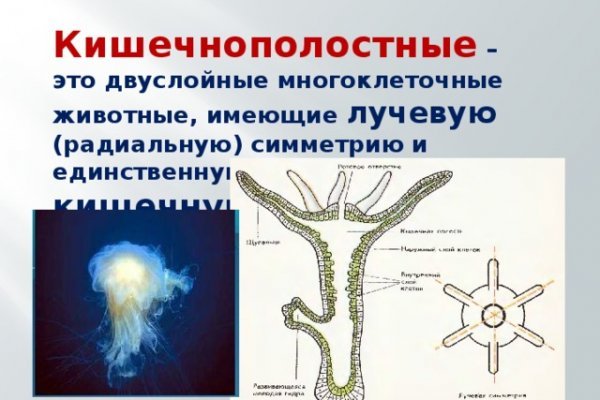 Что такое кракен шоп