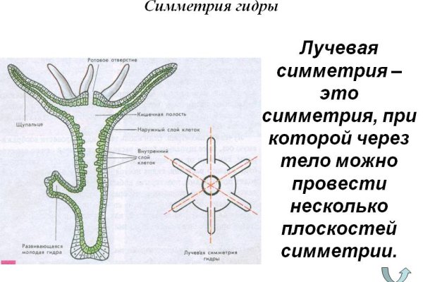 Ссылка на кракен в браузере
