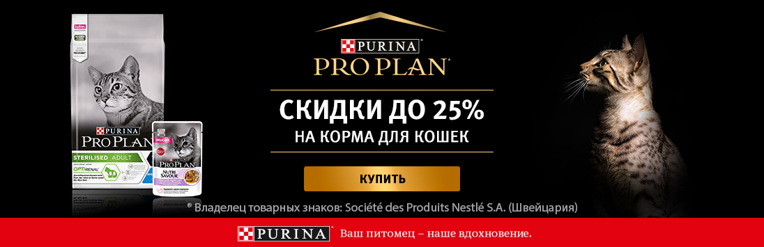 Как вернуть аккаунт кракен